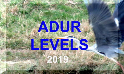 Adur Levels Reports 2019