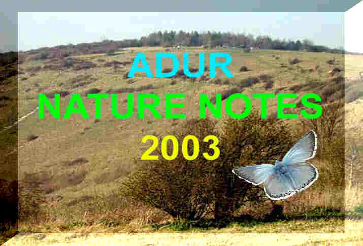 Link to Adur Valley Nature Notes 2003