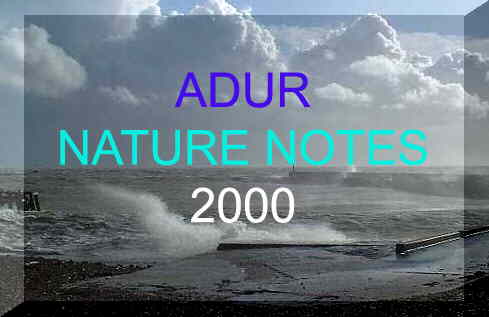 Link to Adur Nature Notes 2000