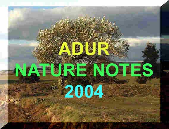 Link to the Adur Nature Notes 2004 Index page