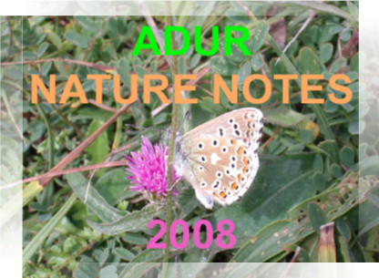 Link to the Adur Nature Notes 2008 web pages