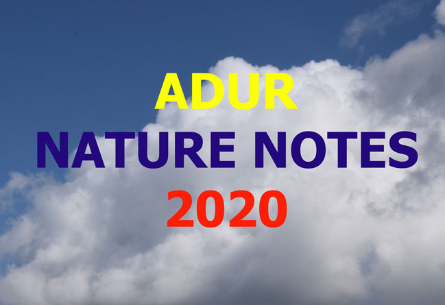 Adur Nature Notes                            2020