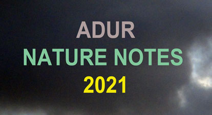 Adur Nature Notes (Link) 2021