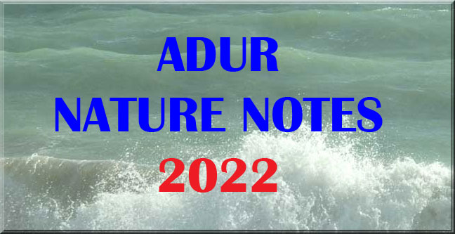 Adur Nature Notes   2022