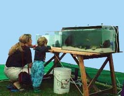 Aquarium at Adur World Oceans Day (Photograph by Ray Hamblett)