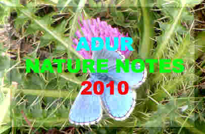 Link to the Adur 2010 Nature Notes pages