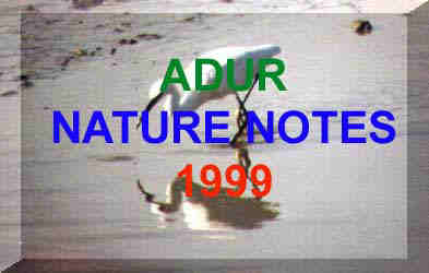 ADUR NATURE NOTES 1999