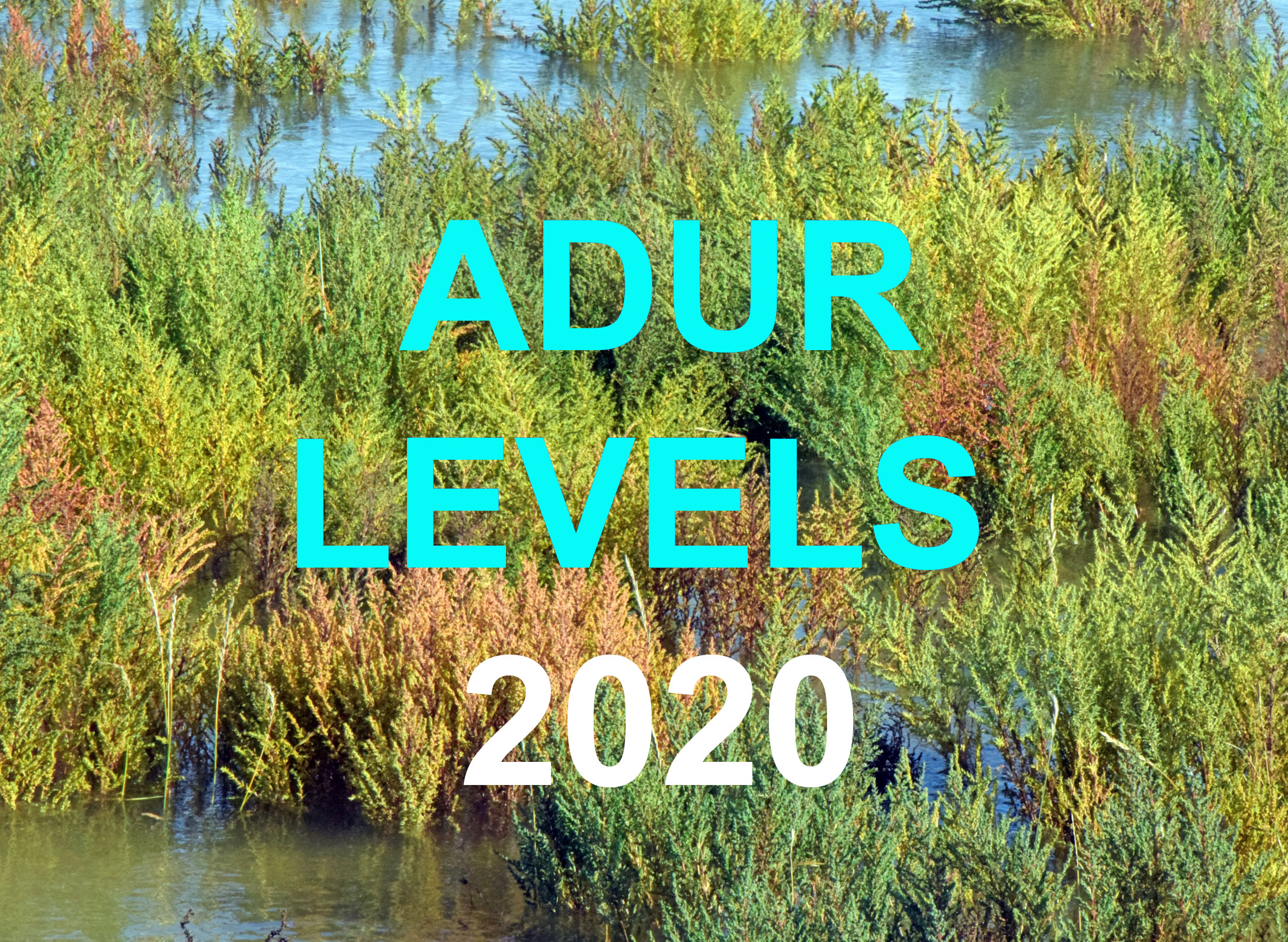 Adur Levels Reports 2020