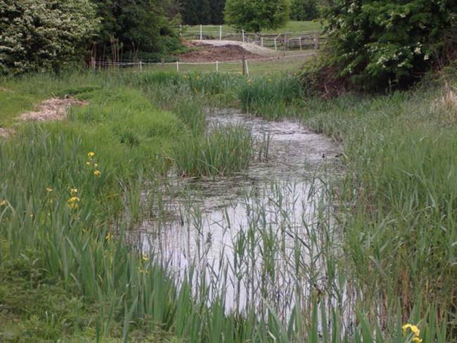 Adur Levels