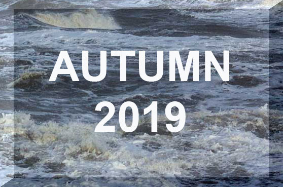 Link to Autumn 2019 Reports