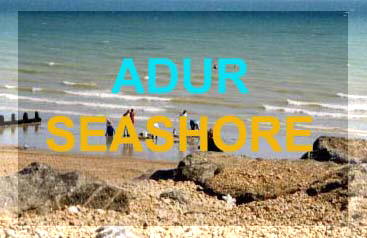 Intertidal zone seashore reports for Adur