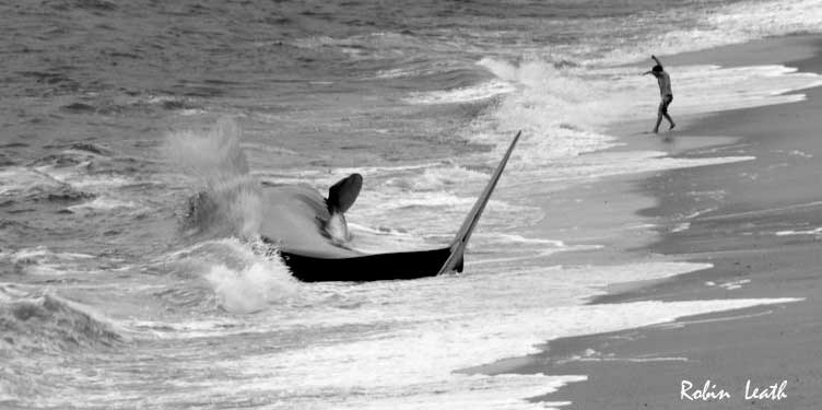 Fin Whale & Boy (Photograph by Robin Leath)