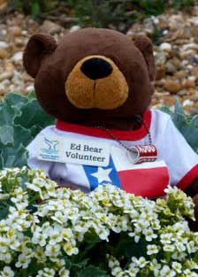 Eddy the Bear Blogspot