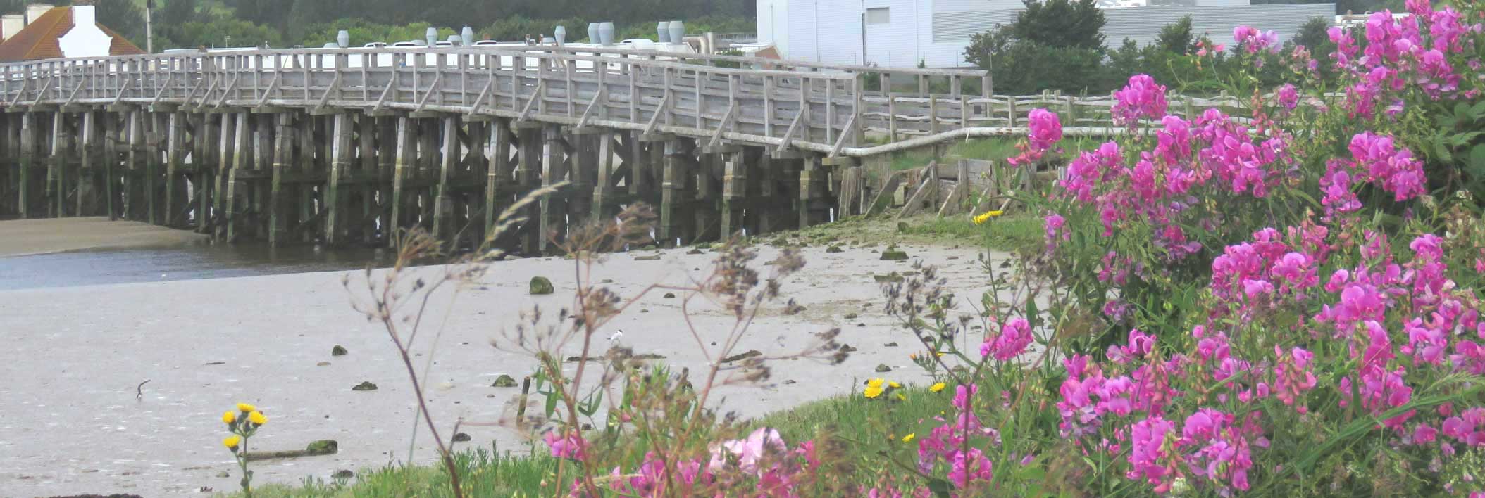 River Adur at Old Shoreham (low tide)