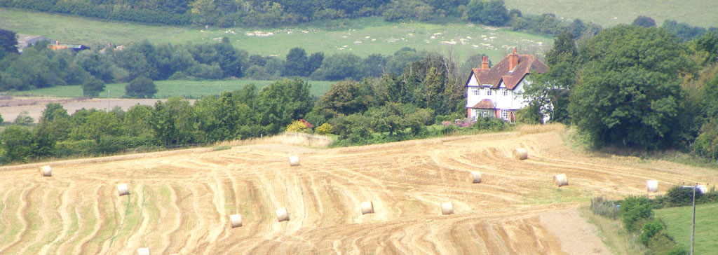 Harvest Time