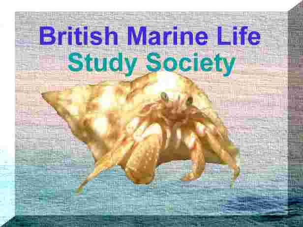 Link to the British Marine Life Study Society Homepage