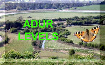 Link to the Adur Levels habitats page