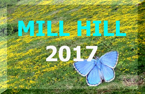 Link to the Mill Hill                            Nature Notes 2017 web pages