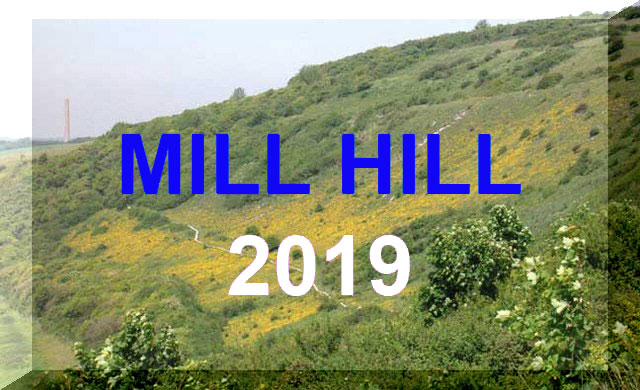 Mill Hill Reports 2019