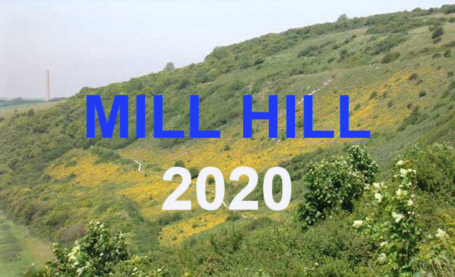 Mill Hill Reports 2020