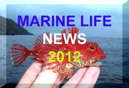 Marine Life News 2012