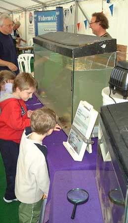 Shoreham Fish Festival (Photograph by Ray Hamblett)