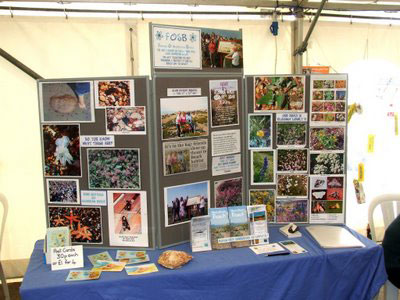 Friends of Shoreham Beach Display