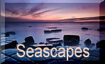 Link to Graham Wiffen Seascapes