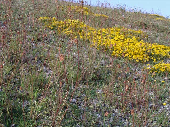 Slonk Hill Embankment