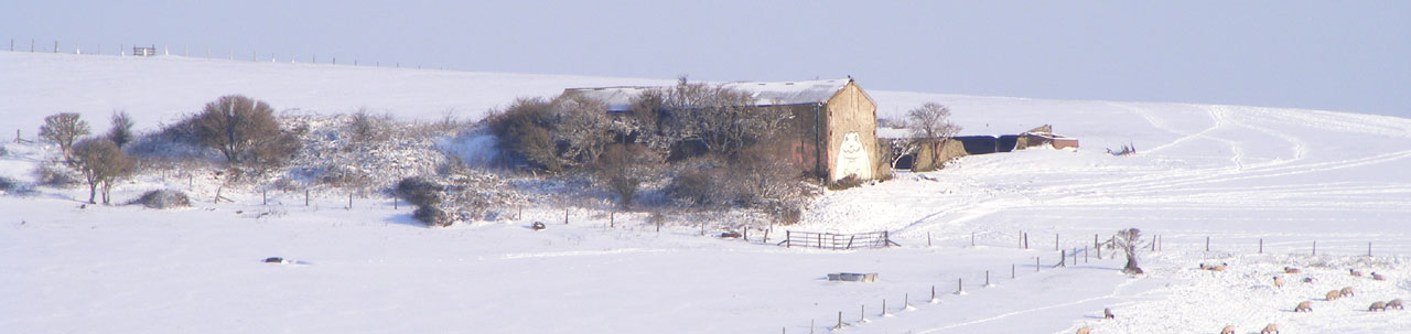 Snow on the New Erringham pastures (east of Mill Hill)