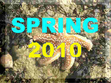 Spring 2010 News