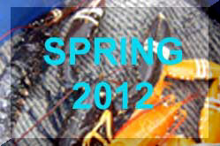 Spring 2012 News Reports (Links)