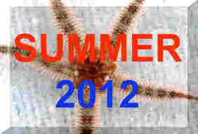 SUMMER 2012