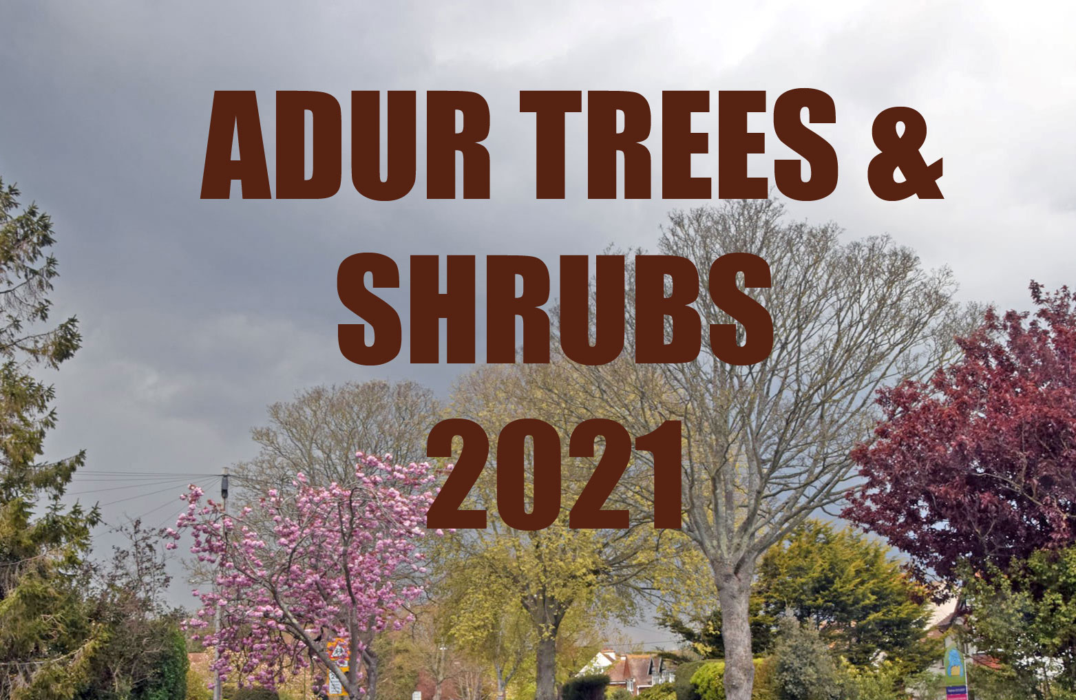 Adur Trees & Shrubs