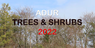 Adur Trees and Shrubs