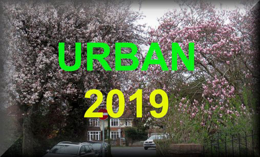 Urban Reports 2019