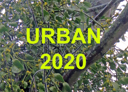 Urban Reports 2020