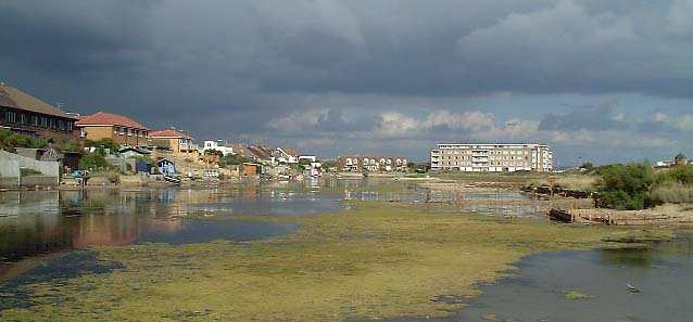 Widewater from the bridge looking east (Photograph by Ray Hamblett)