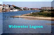 Widewater Lagoon (Brackish)