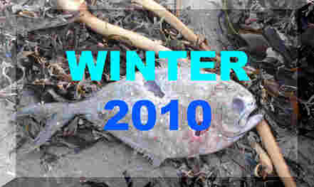 Winter 2010 News