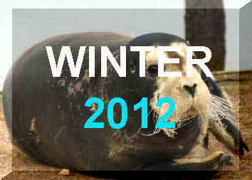 Winter 2012 News Reports, January - March