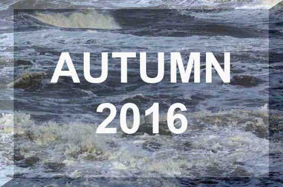 Link to Autumn 2016 Reports