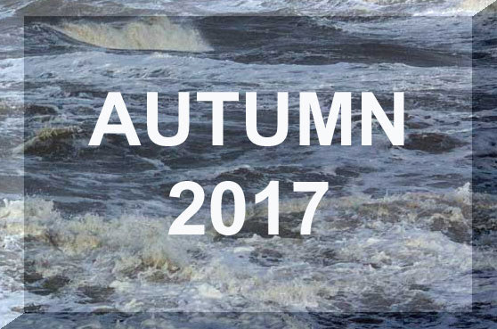 Link to Autumn 2017 Reports