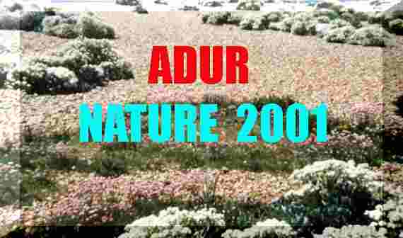 LINK TO ADUR NATURE NOTES 2001