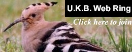 UK Birding Web Ring   Click here to join