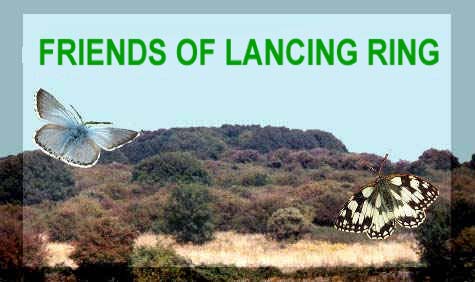 Friends of Lancing Ring (Link)