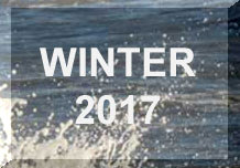 Link to WINTER 2017 Reports