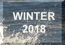 Link to WINTER 2018 Reports