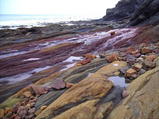 Rocky Shore at Berwick-on-Tweed  (Photograph by Maurice Kilday)