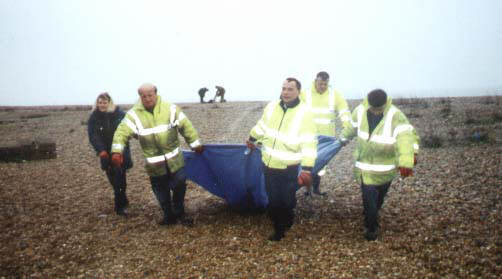 Adur Council workers using the standard tarpaulin method for removing a Common Dolphin from Shoreham beach 2001